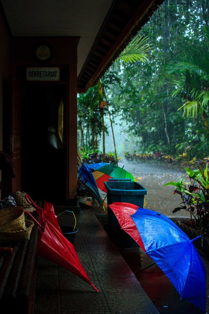 Tormenta en un templo de Bali, Indonesia con paraguas abiertos en el vestíbulo del templo